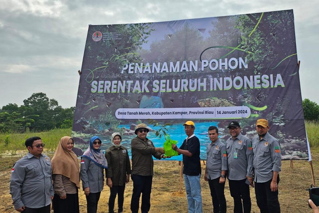 Langkah Nyata Tahun 2024, KLHK Lakukan Penanaman Pohon Serentak di Seluruh Indonesia